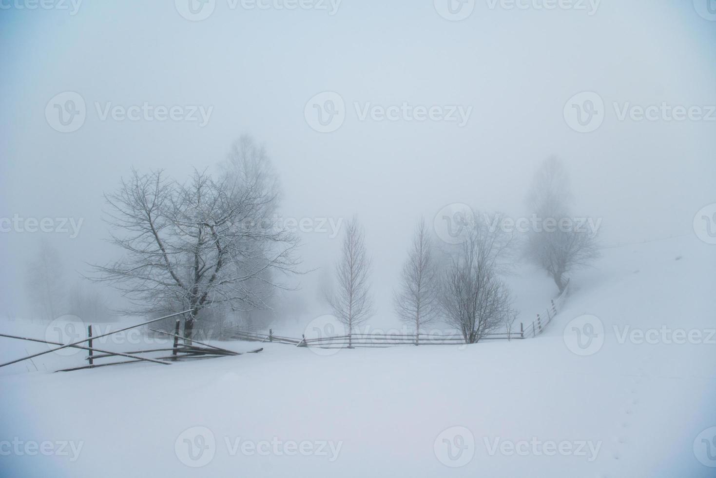 prachtig winterlandschap foto