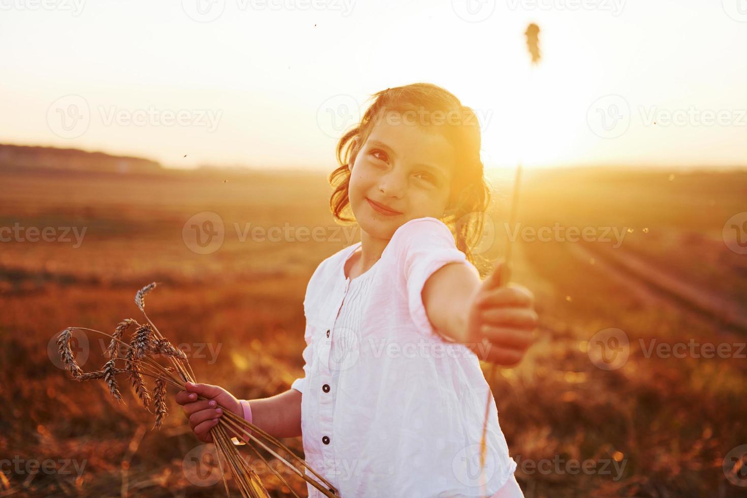 portret van vrolijk weinig meisje dat staand Aan de agrarisch veld. mooi zonlicht achter foto