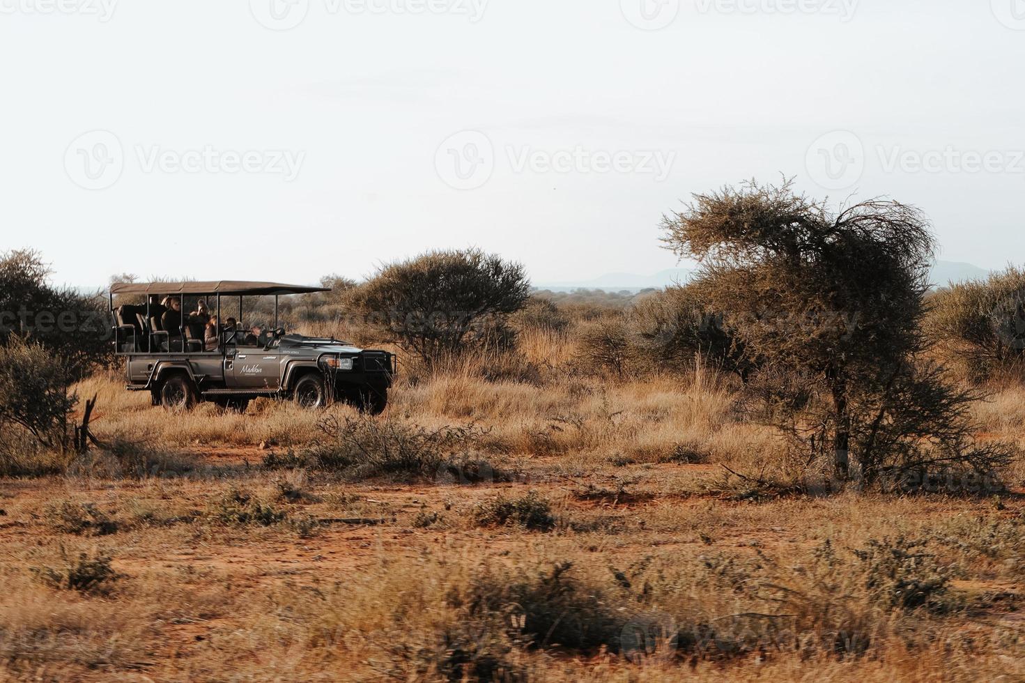 Aan safari in zuiden Afrika foto