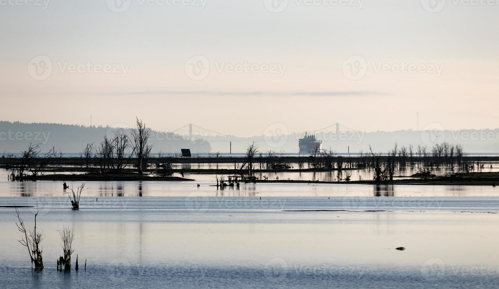 lading schip voorbijgaan door mistig delta met brug foto