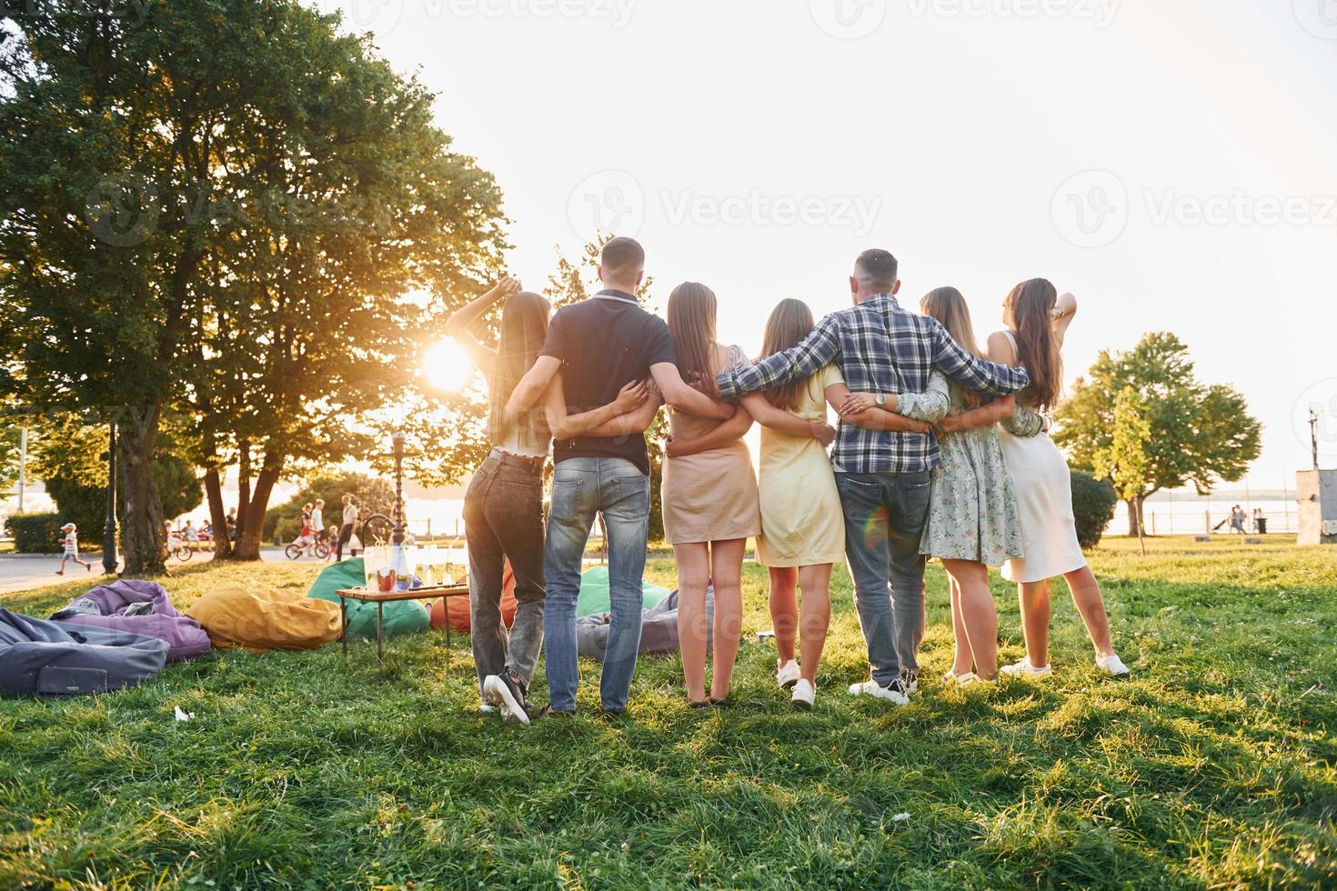 visie van achter. groep van jong mensen hebben een partij in de park Bij zomer dag foto