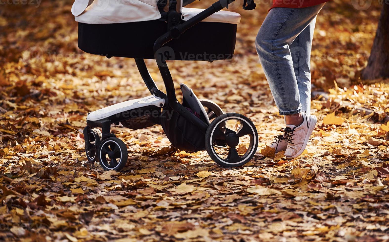 dichtbij omhoog visie. moeder in rood jas hebben een wandelen met haar kind in de kinderwagen in de park Bij herfst tijd foto