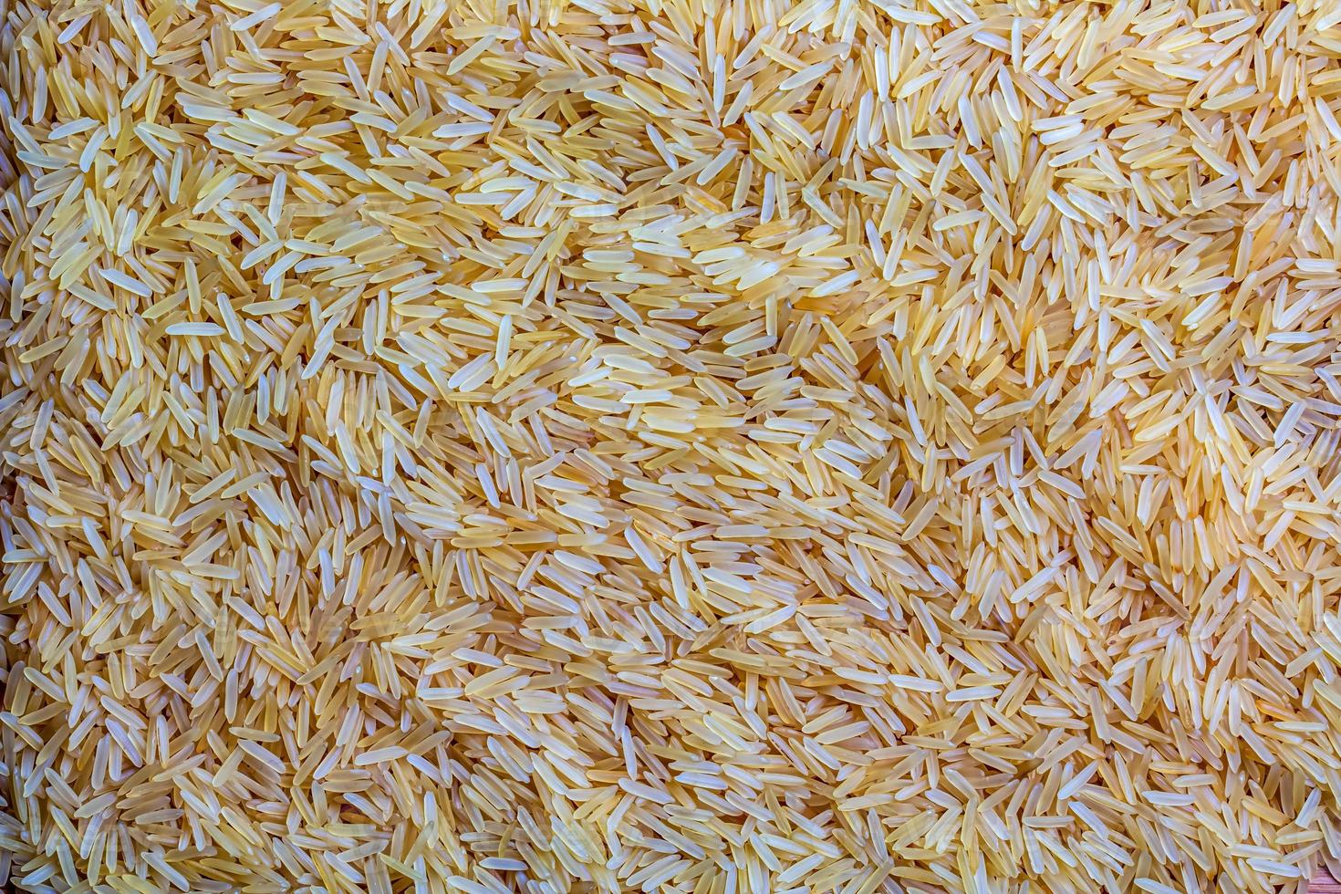 achtergrond van lang graan voorgekookt ongekookt rijst. rijst- grutten net zo achtergrond en textuur. foto