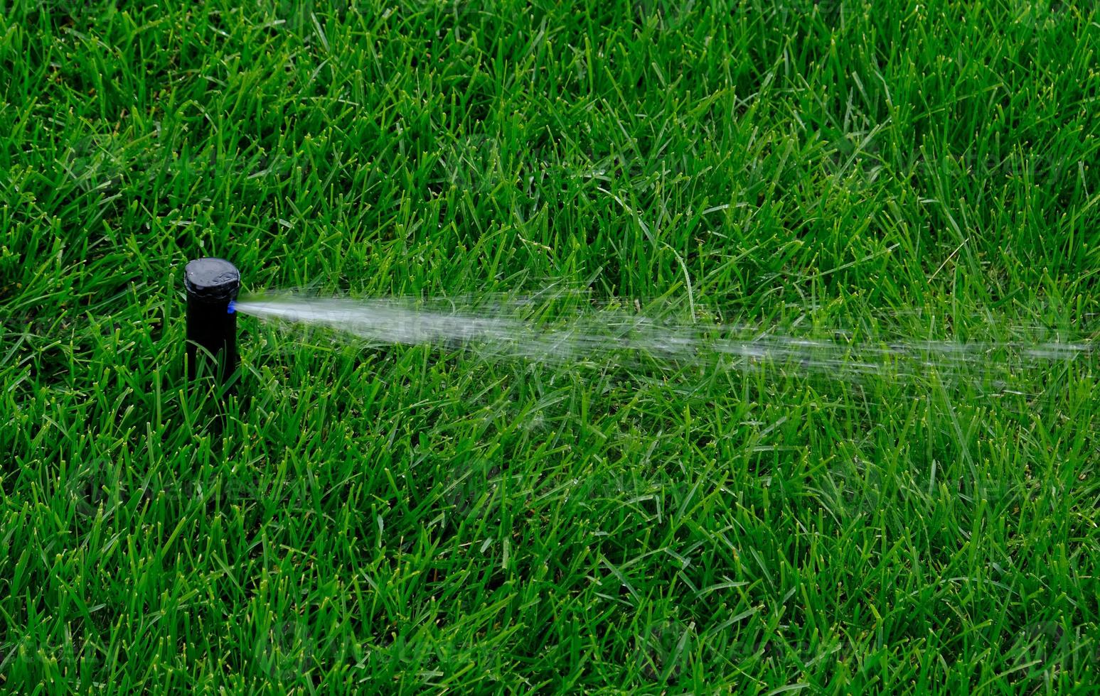 automatisch tuin irrigatie systeem gieter gazon. spaargeld van water van sproeier irrigatie systeem met verstelbaar hoofd. automatisering voor gazon irrigatie, tuinieren, voetbal velden of golf cursussen. foto