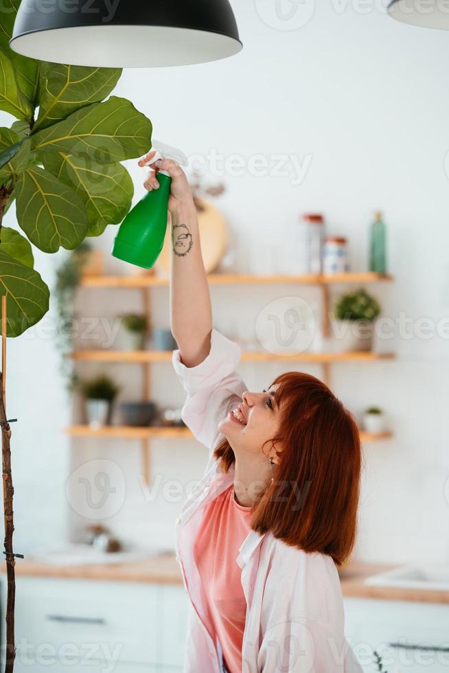 vrouw sproeien water Aan kamerplanten in bloem potten door sproeier. foto
