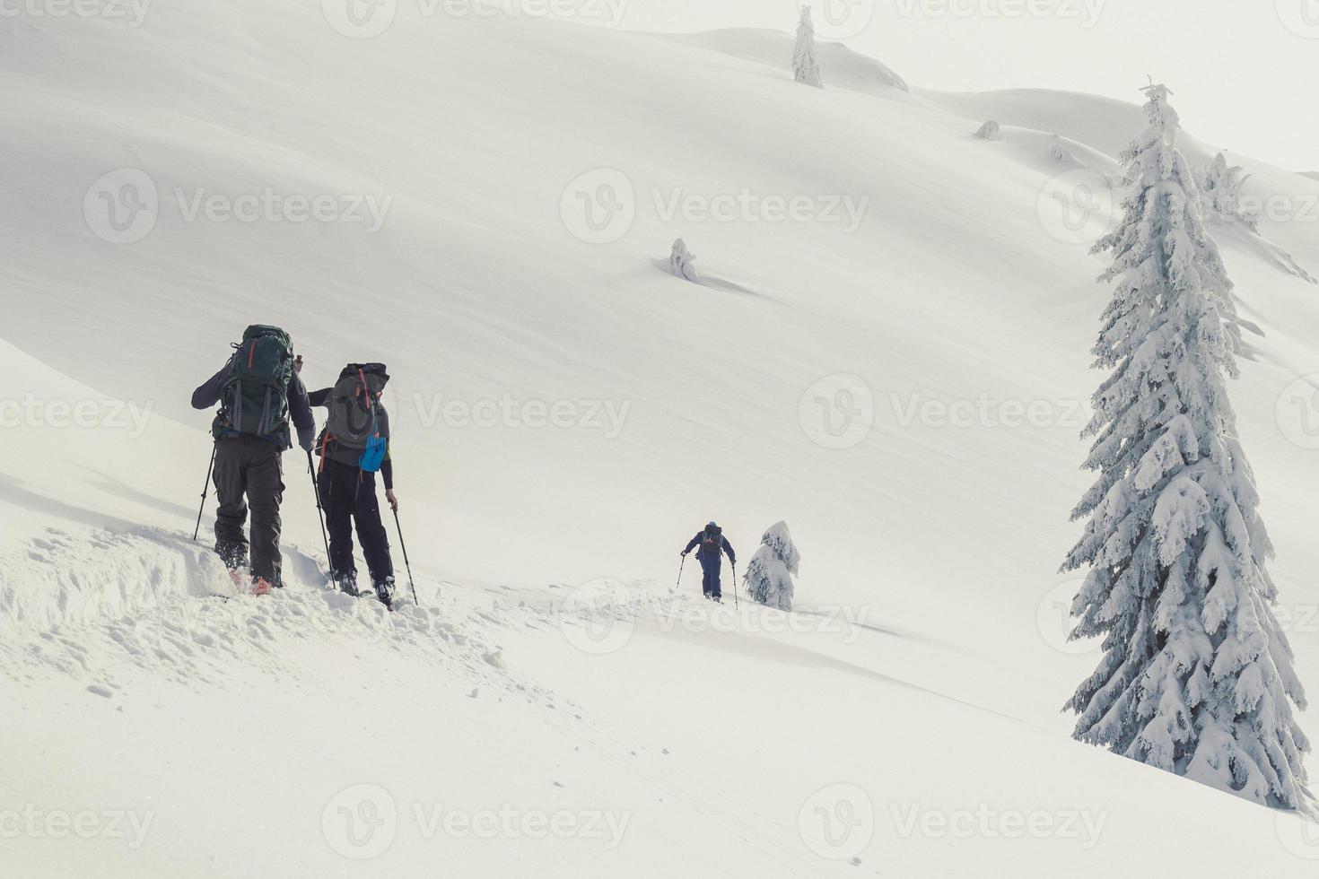 toeristen in beweging vooruit Aan skis landschap foto