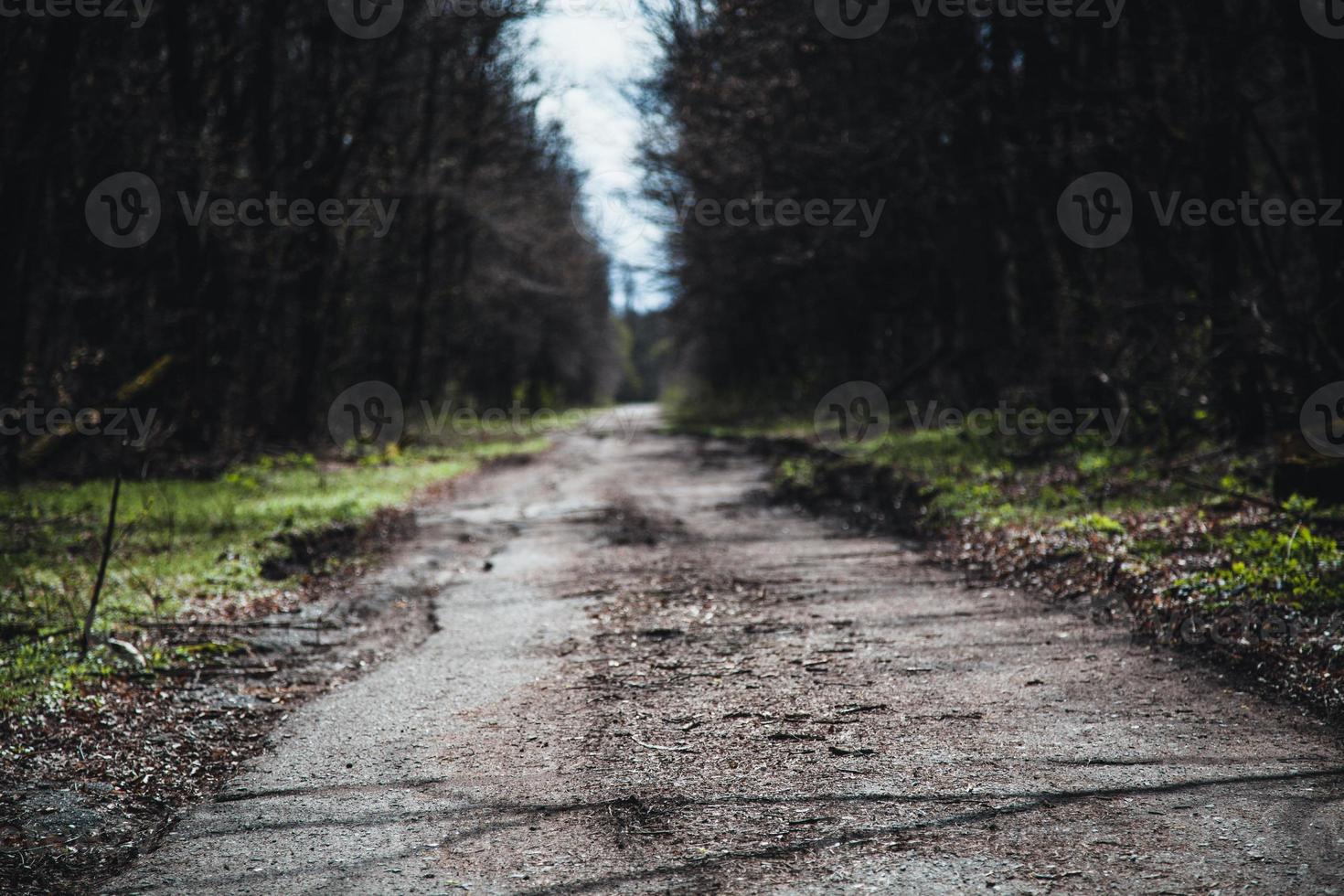 keer bekeken van in de omgeving van de Tsjernobyl uitsluiting zone foto