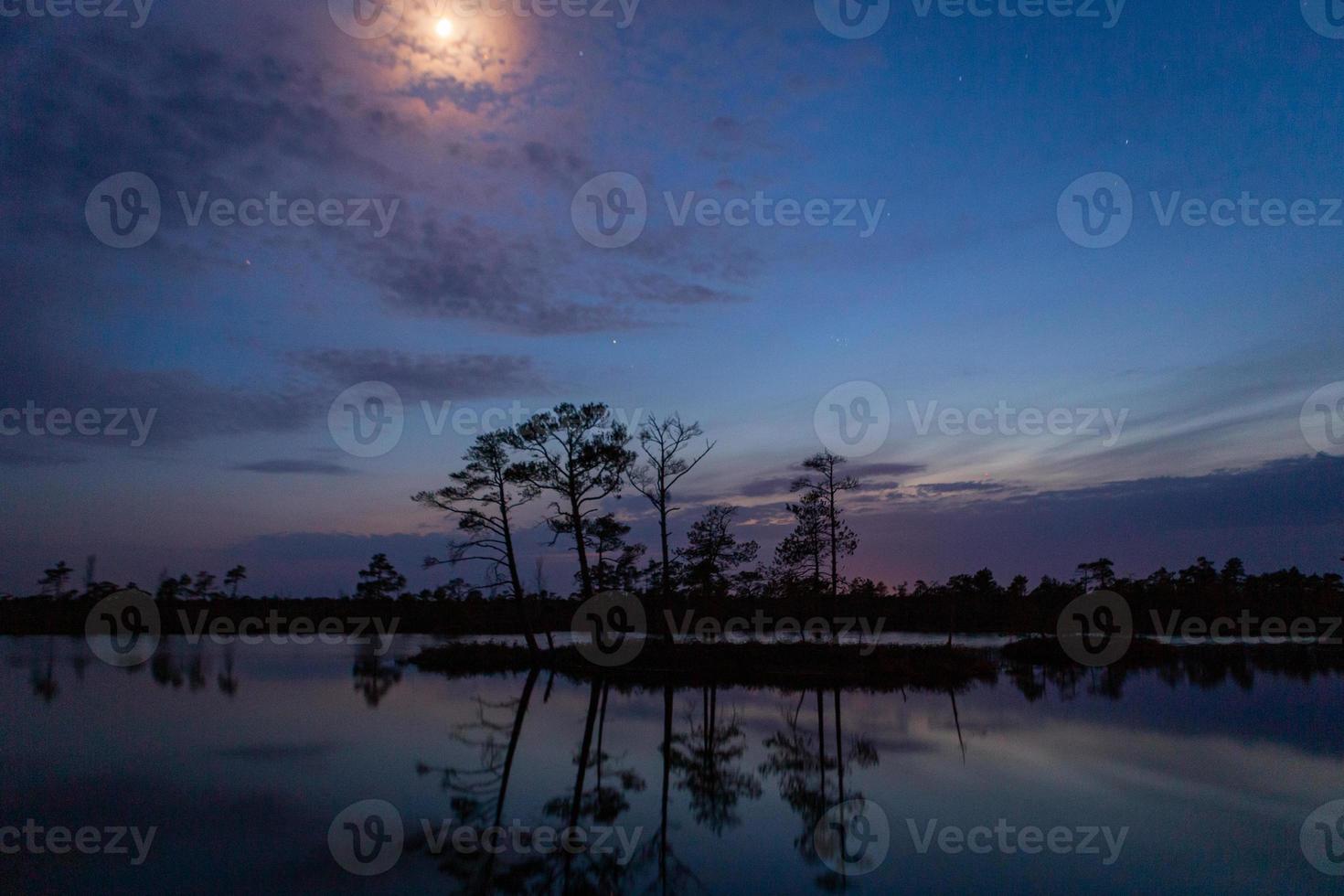 nacht landschappen in de Open lucht foto