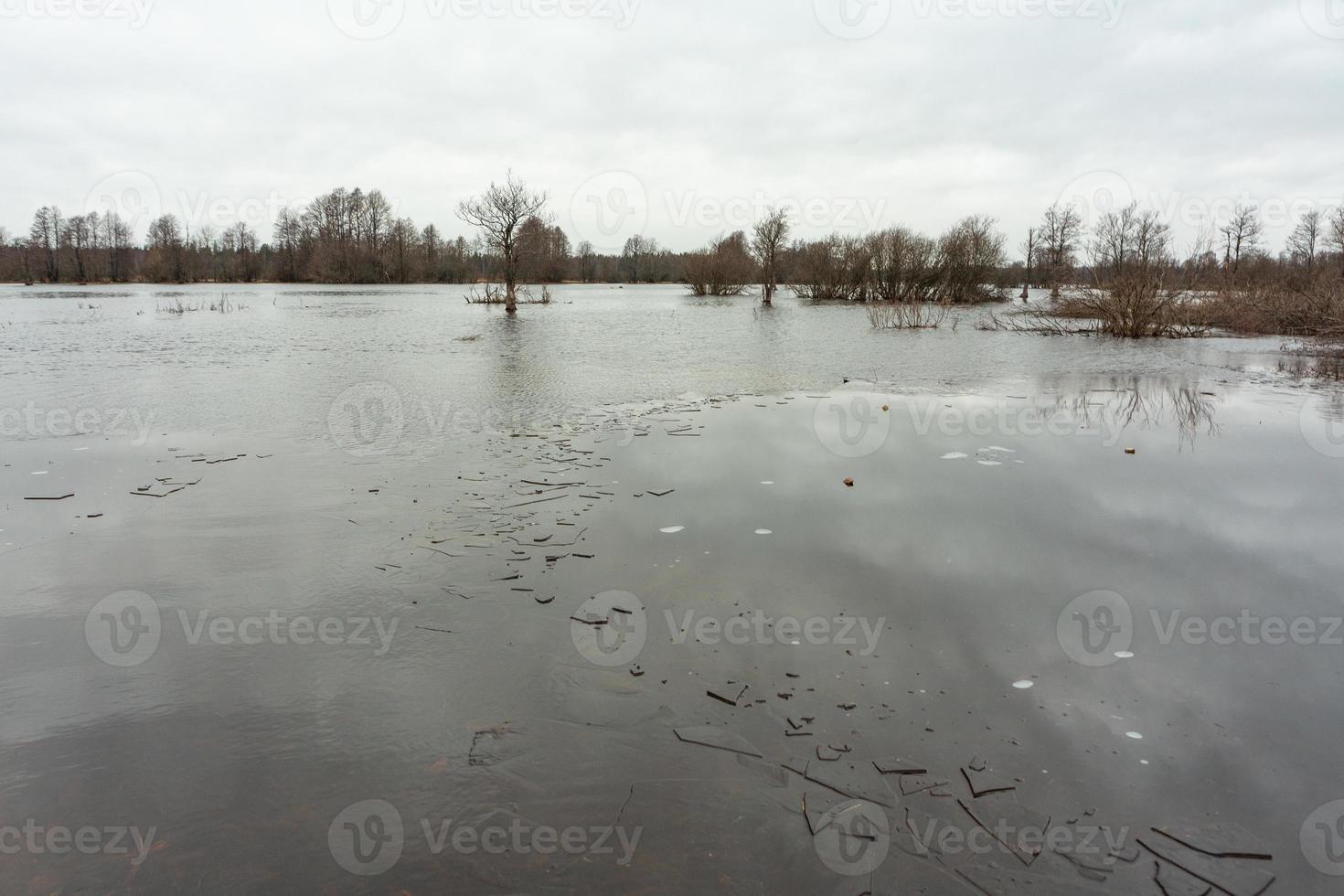 soomaa nationaal park in overstromingen foto