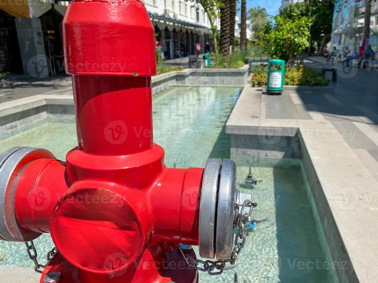 rood brand hydrant door planten Aan voetpad foto