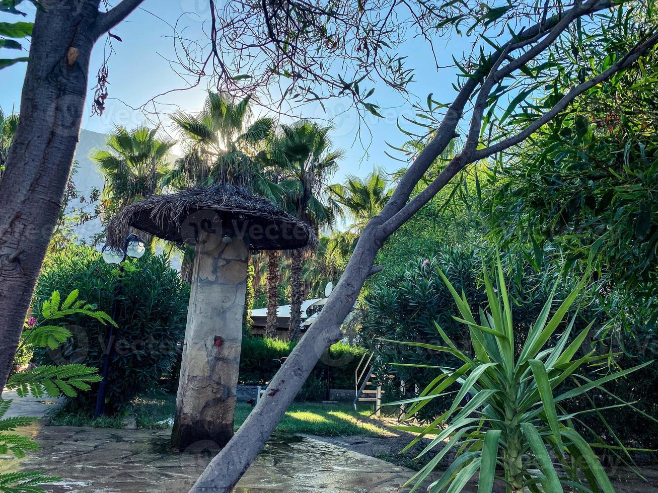 golf van aqaba rood zee baai strand toneel- landschap fotografie in de meest zuiden Israëlisch stad eilat in zomer vakantie seizoen tijd, palm bomen en rietje paraplu's Aan blauw lucht achtergrond. foto