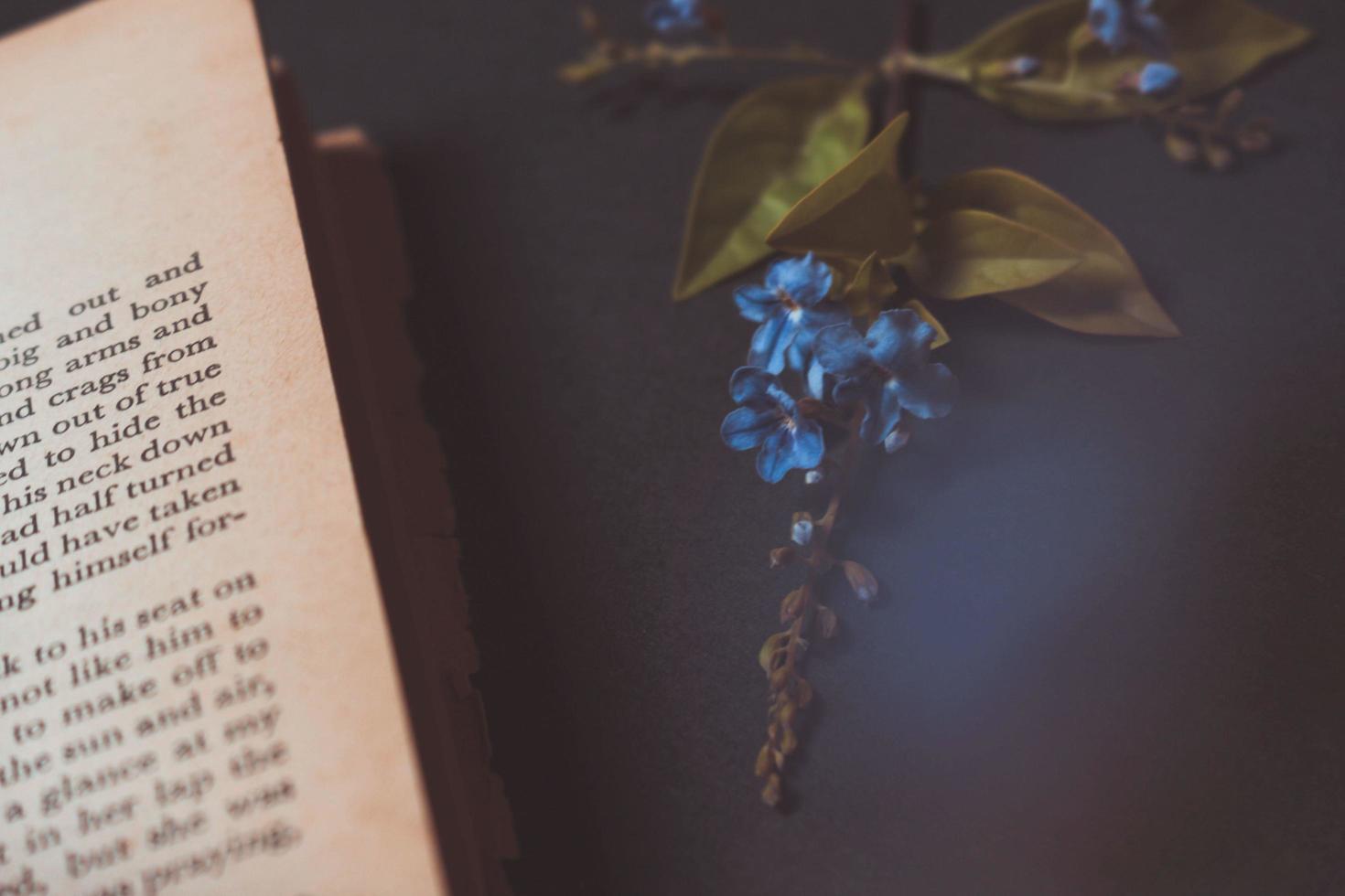 klein Purper bloemen in oud wijnoogst boek foto