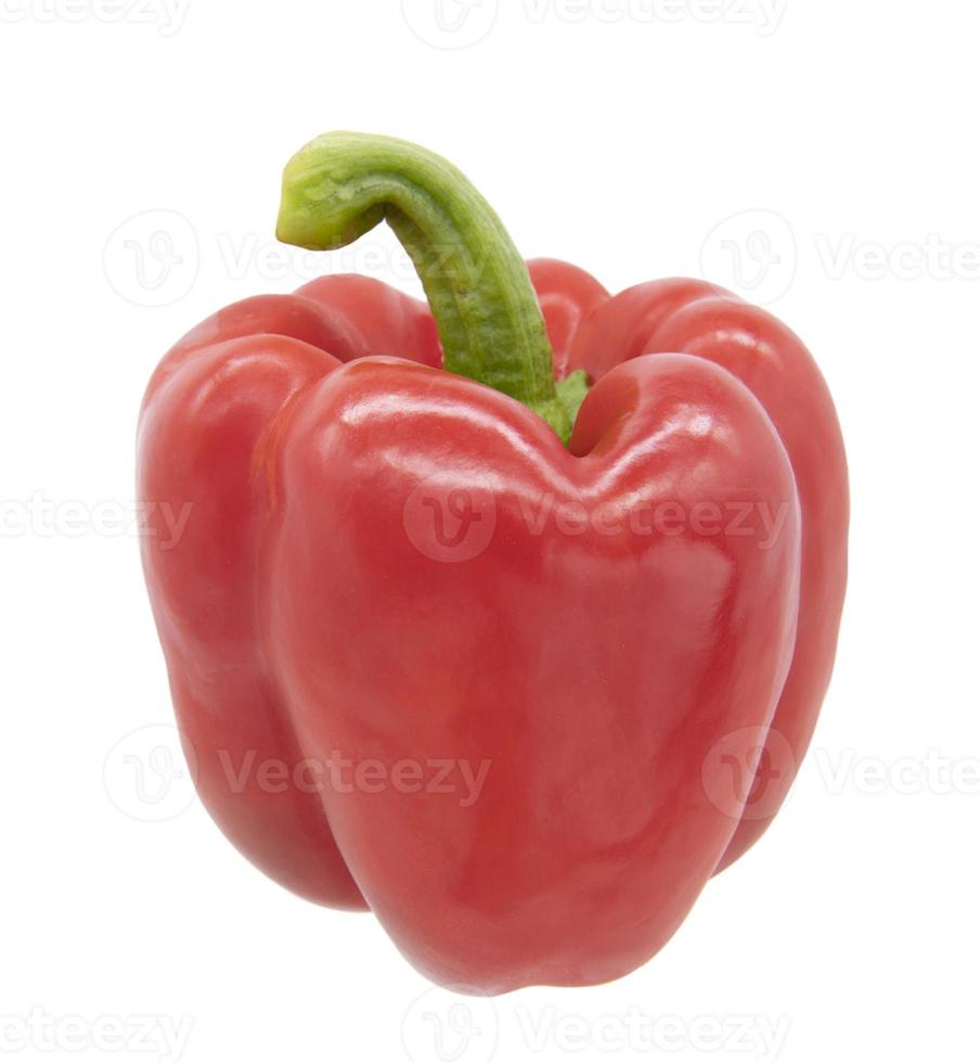 Spaanse peper die op witte achtergrond wordt geïsoleerd foto