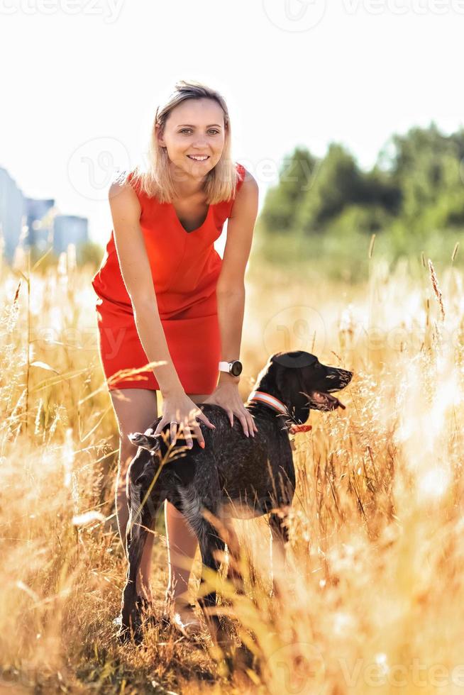 een jong blond vrouw in een helder jurk staat in de midden- van een veld- met een jacht- hond. geluk, vrijheid, zomer, vakantie, wandelen foto