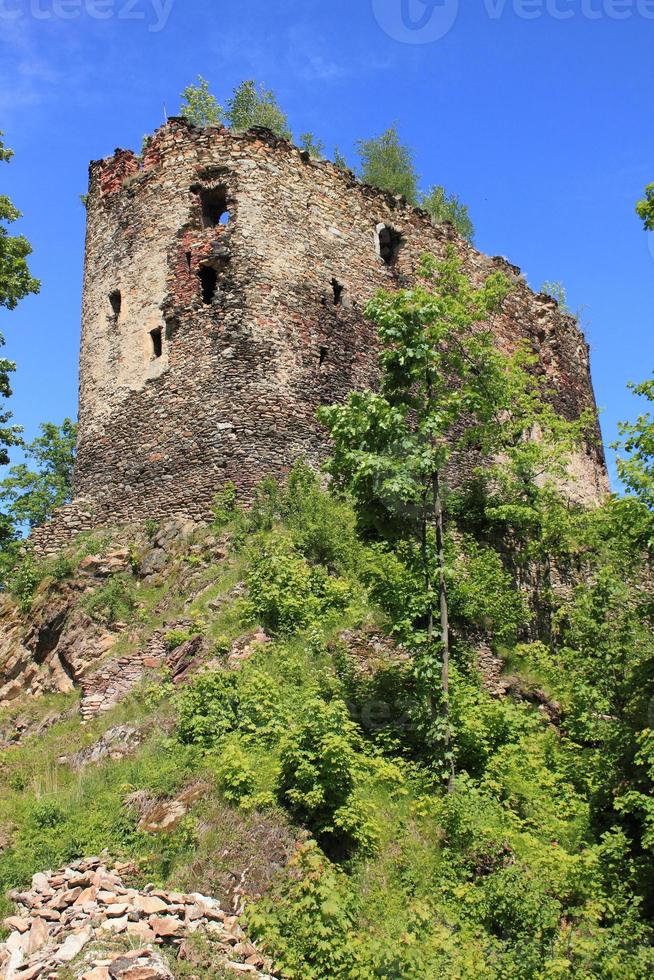 kasteel in schatje, Polen foto