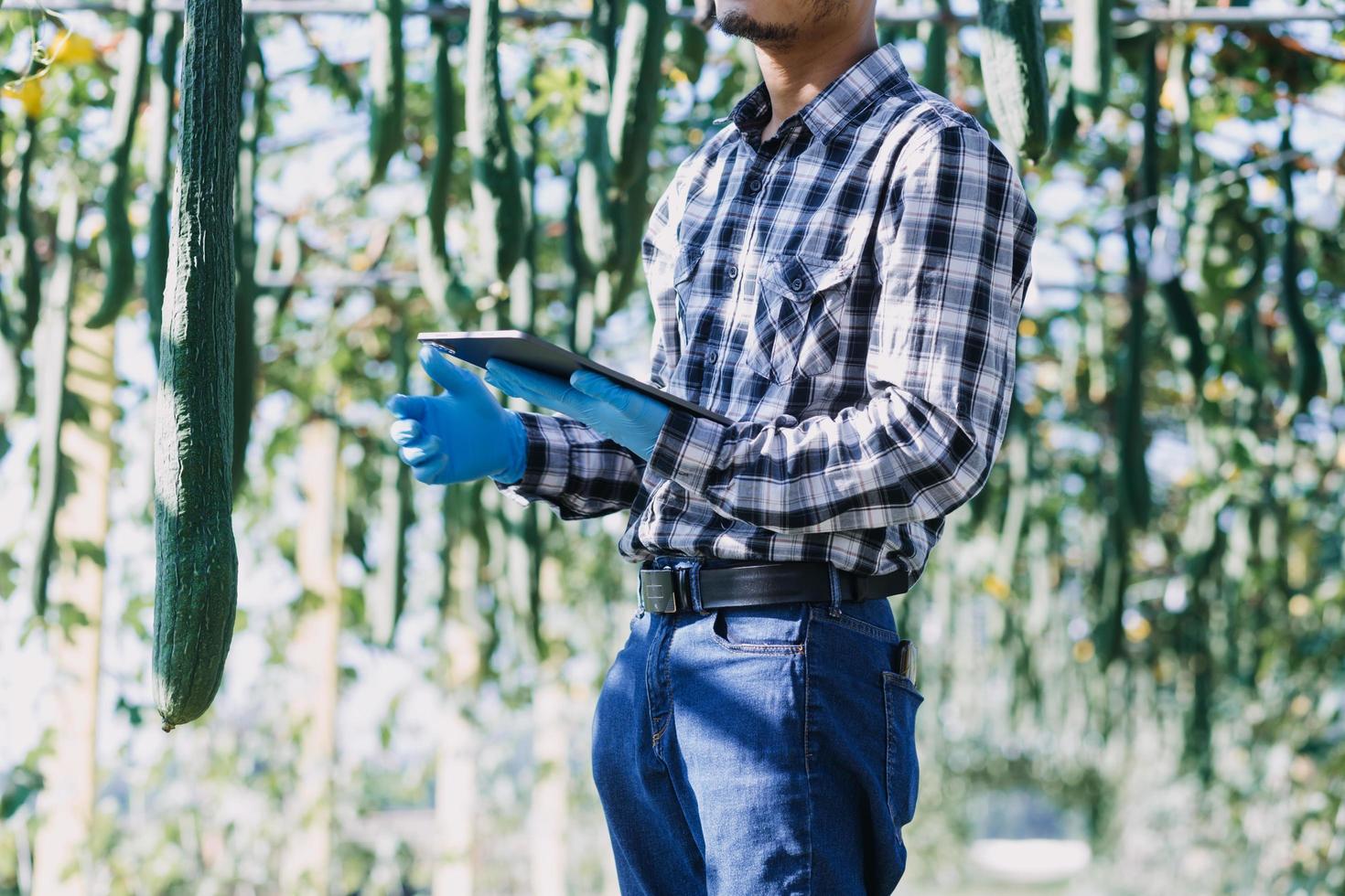 futuristische zakenman kweekt groenten en gewassen met behulp van moderne ai-technologie met behulp van mobiele telefoons, temperatuur- en vochtigheidssensoren, watertracking, klimaatbeheersing, holografische gegevensgegevenspictogrammen. foto