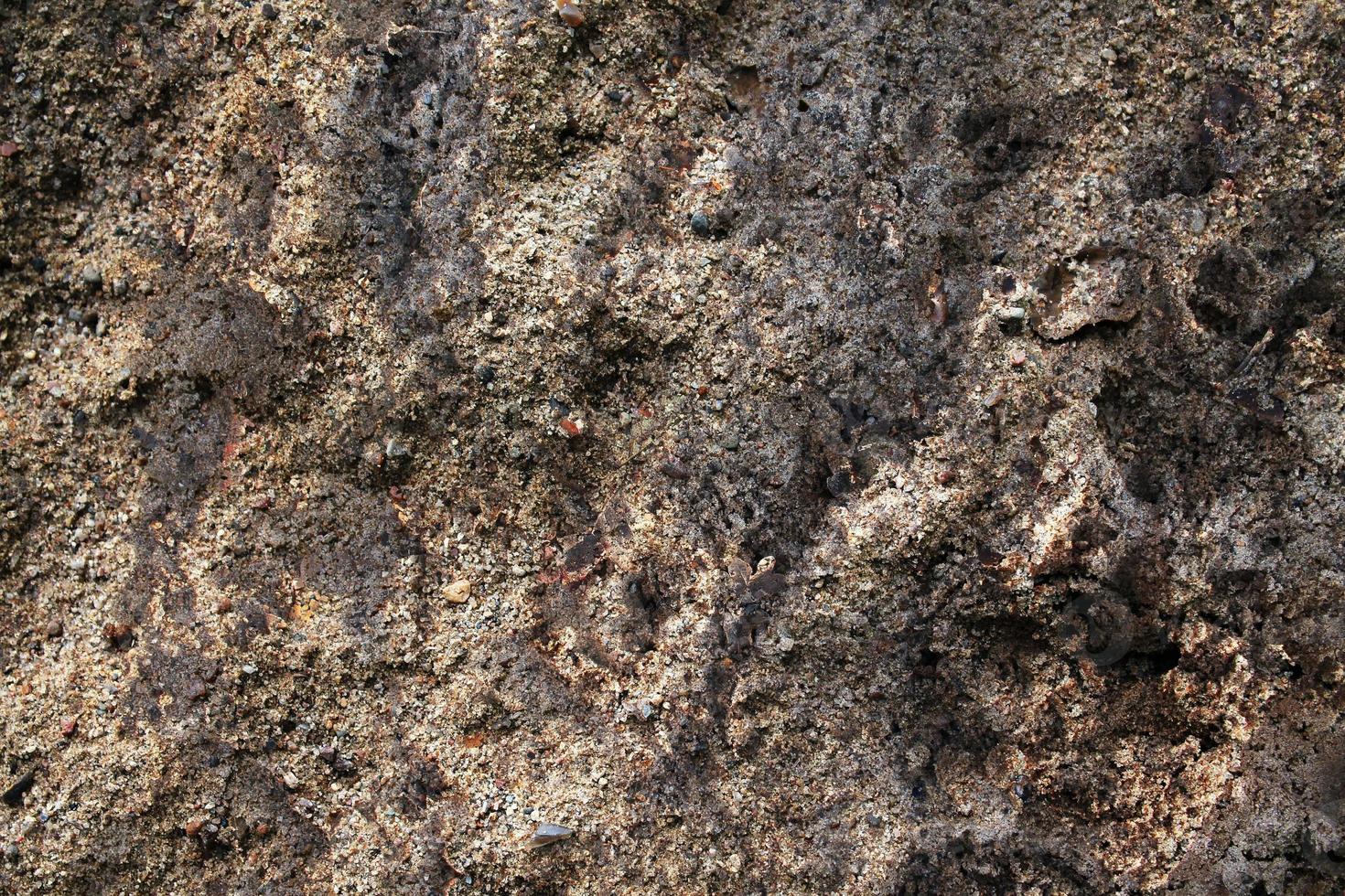 gedetailleerd dichtbij omhoog visie Aan een bruin zand grond structuur foto