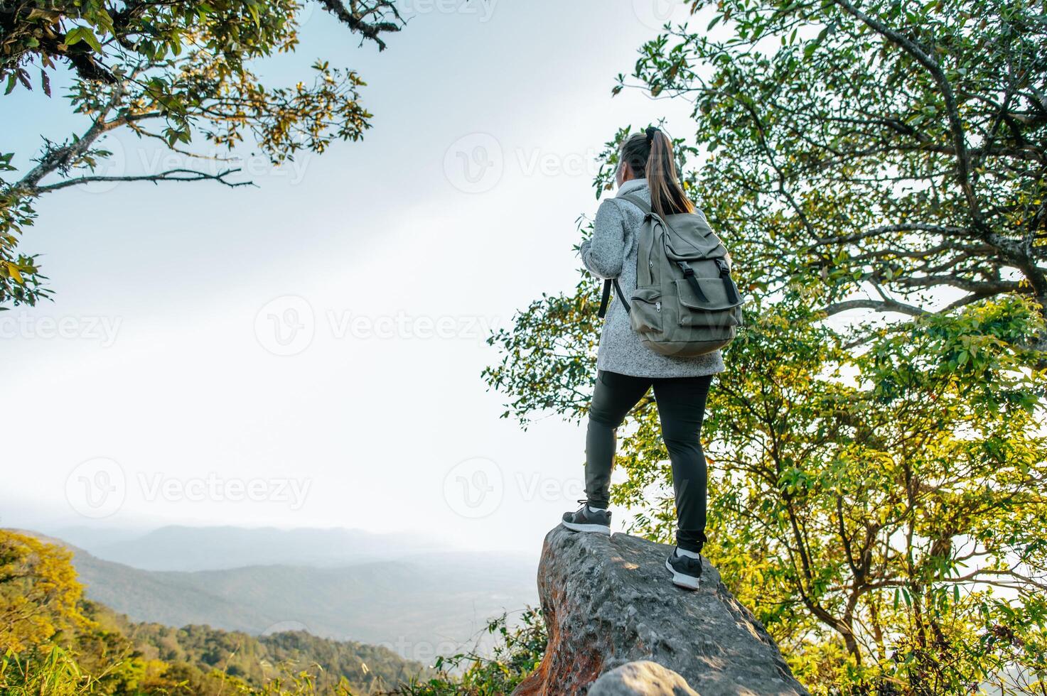 jong wandelaar vrouw staand Aan rotsachtig en op zoek visie foto