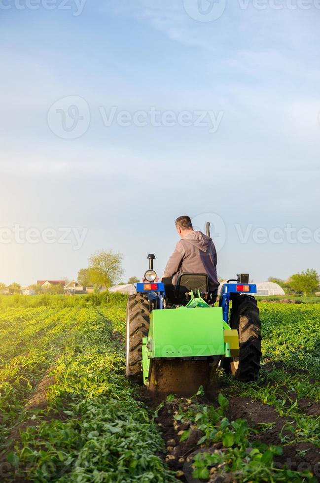 boer opgravingen uit van aardappelen Aan een boerderij veld. oogst eerste aardappelen in vroeg de lente. landbouw en landbouwgrond. agro industrie en landbouwbedrijf. oogsten mechanisatie in ontwikkelen landen. foto