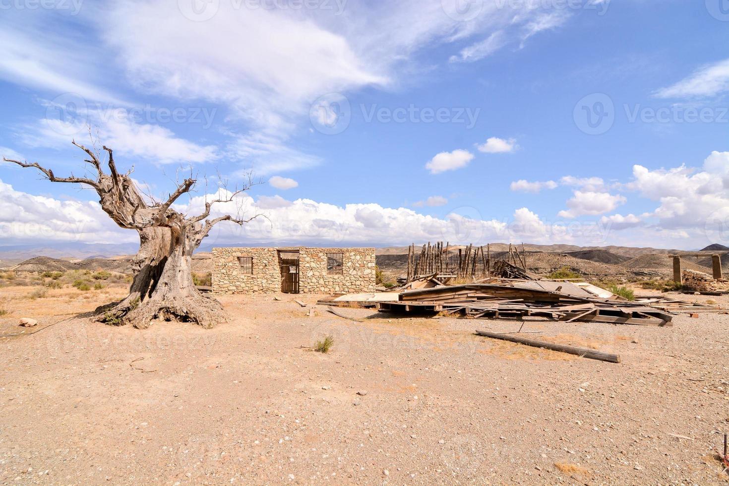 landschap in de zomer foto