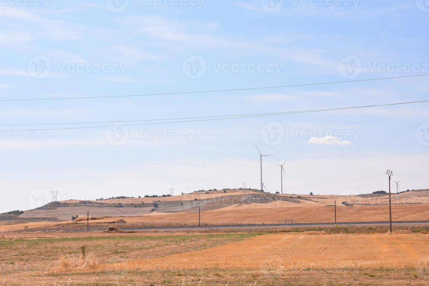 landschap in de zomer foto