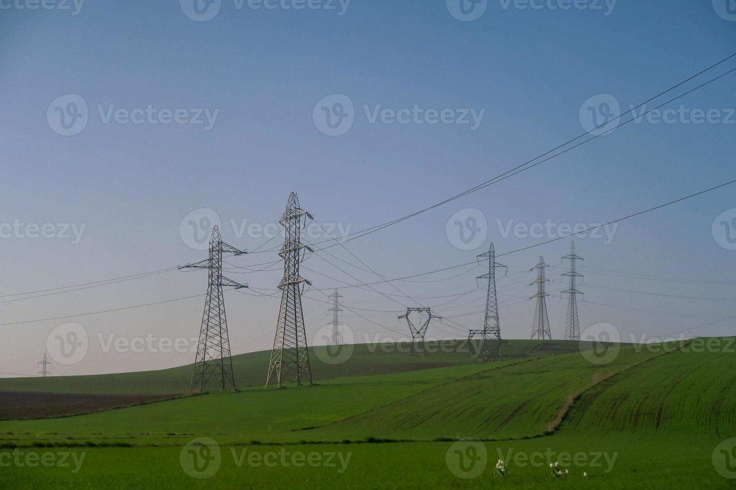 landschap in de zomer foto