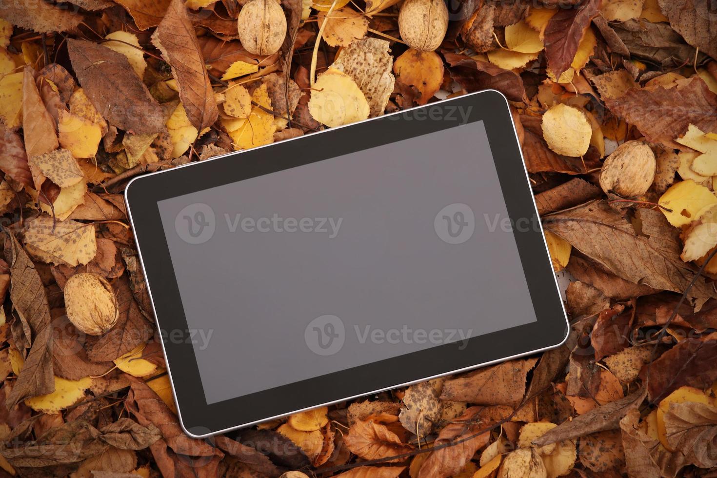 tablet Aan herfst bladeren foto