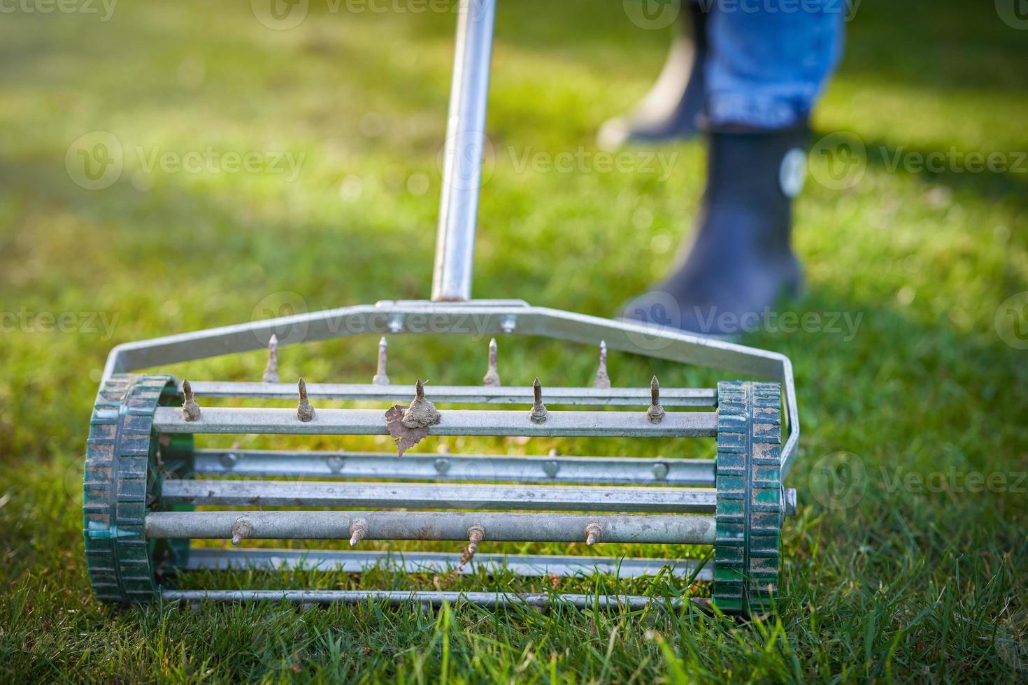 afbeelding van gras beluchter Aan de groen gazon foto