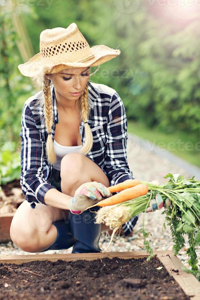 volwassen vrouw plukken groenten van tuin foto