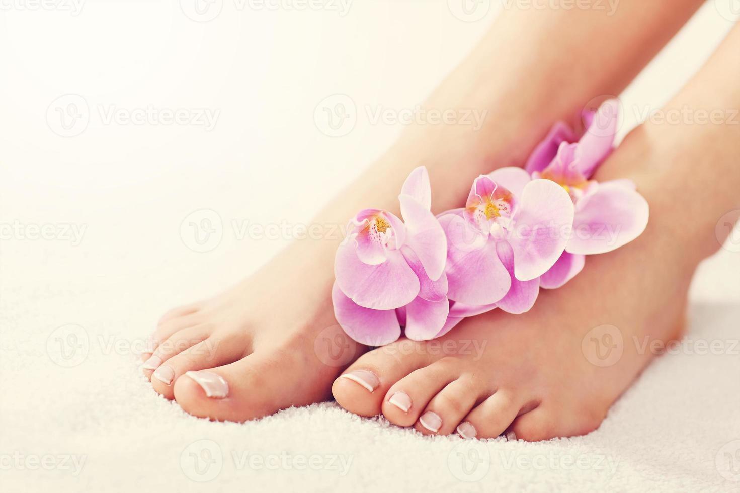 zacht vrouw voeten met Frans pedicure en bloemen dichtbij omhoog foto