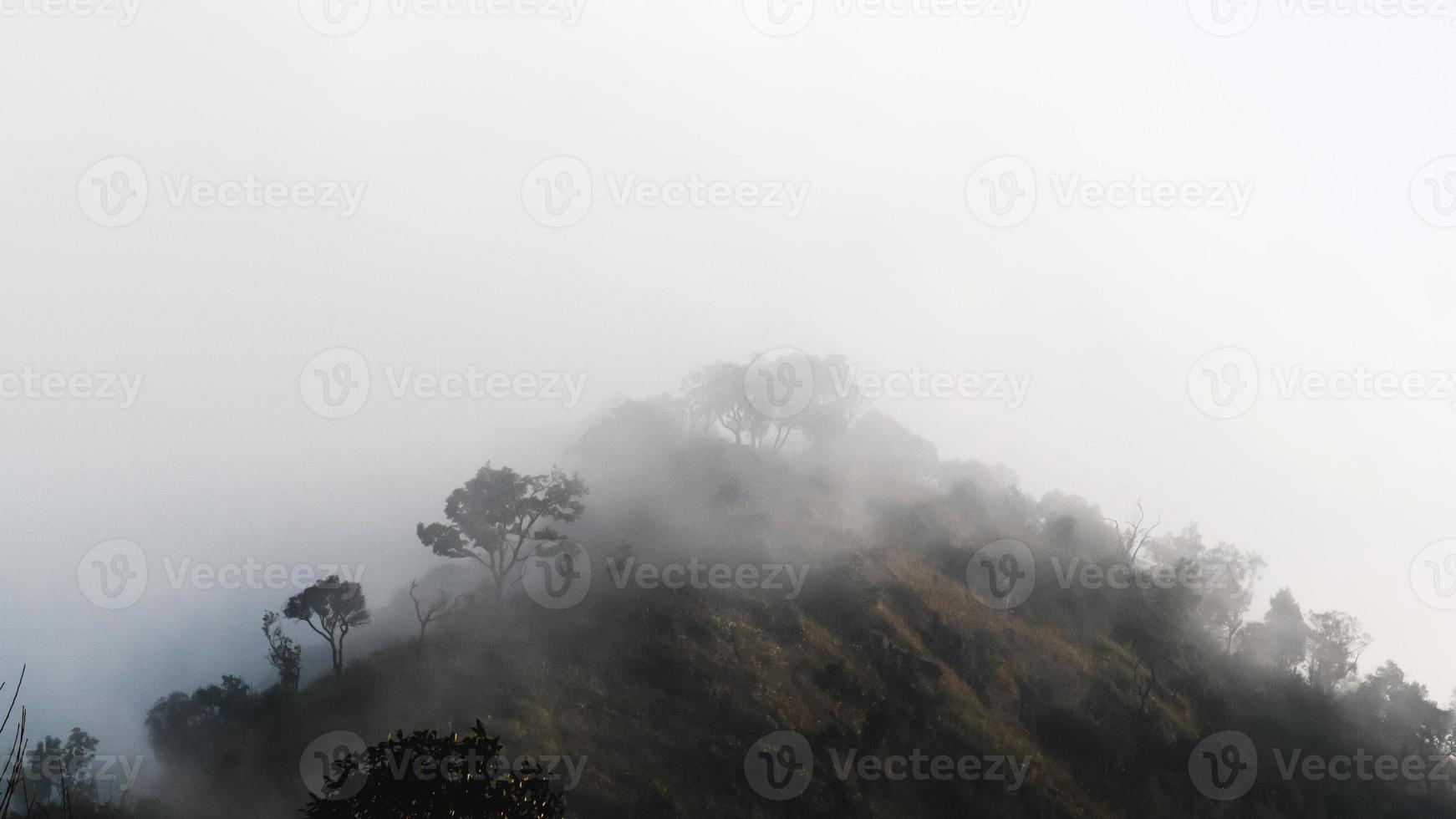 nevelig landschap met Spar Woud bergen in mist foto