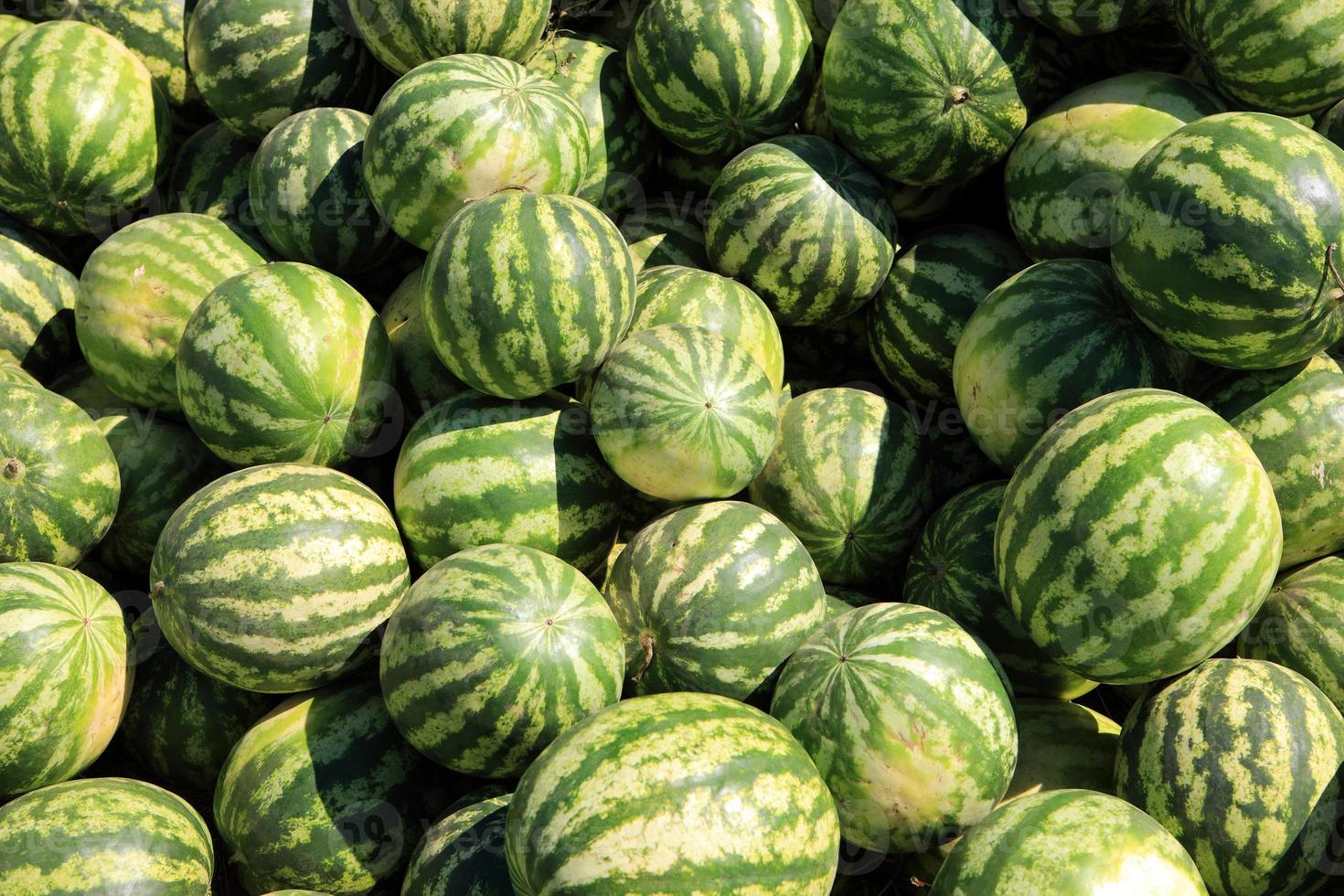 watermeloen stapel patroon foto