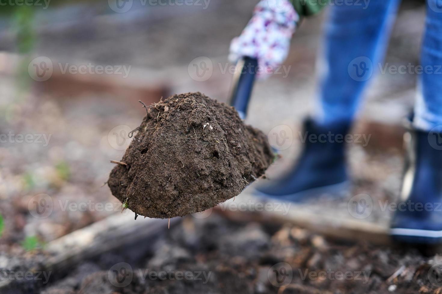 jong gelukkig vrouw met tuin gereedschap werken foto