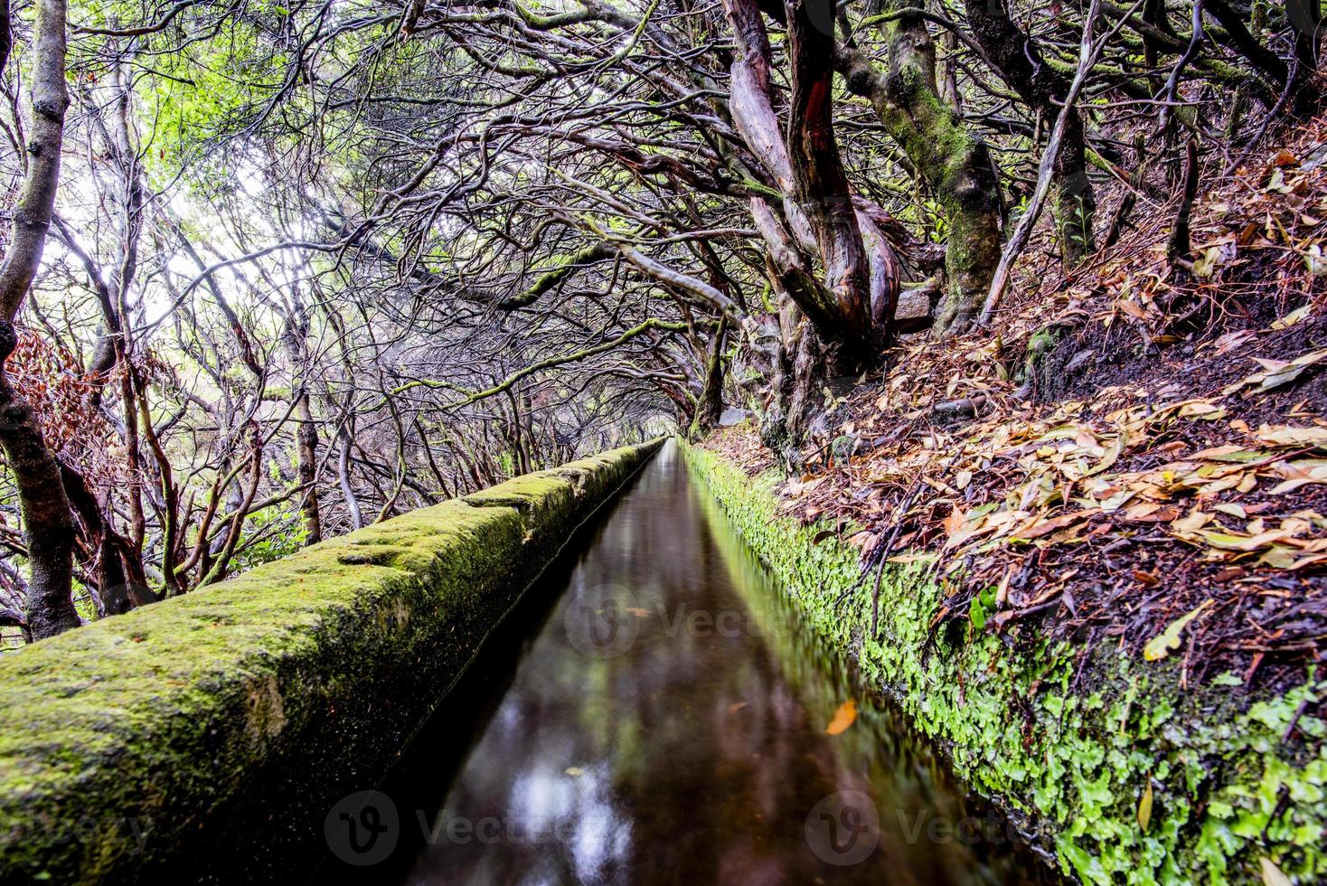 2022 08 17 Madeira levada 17 foto