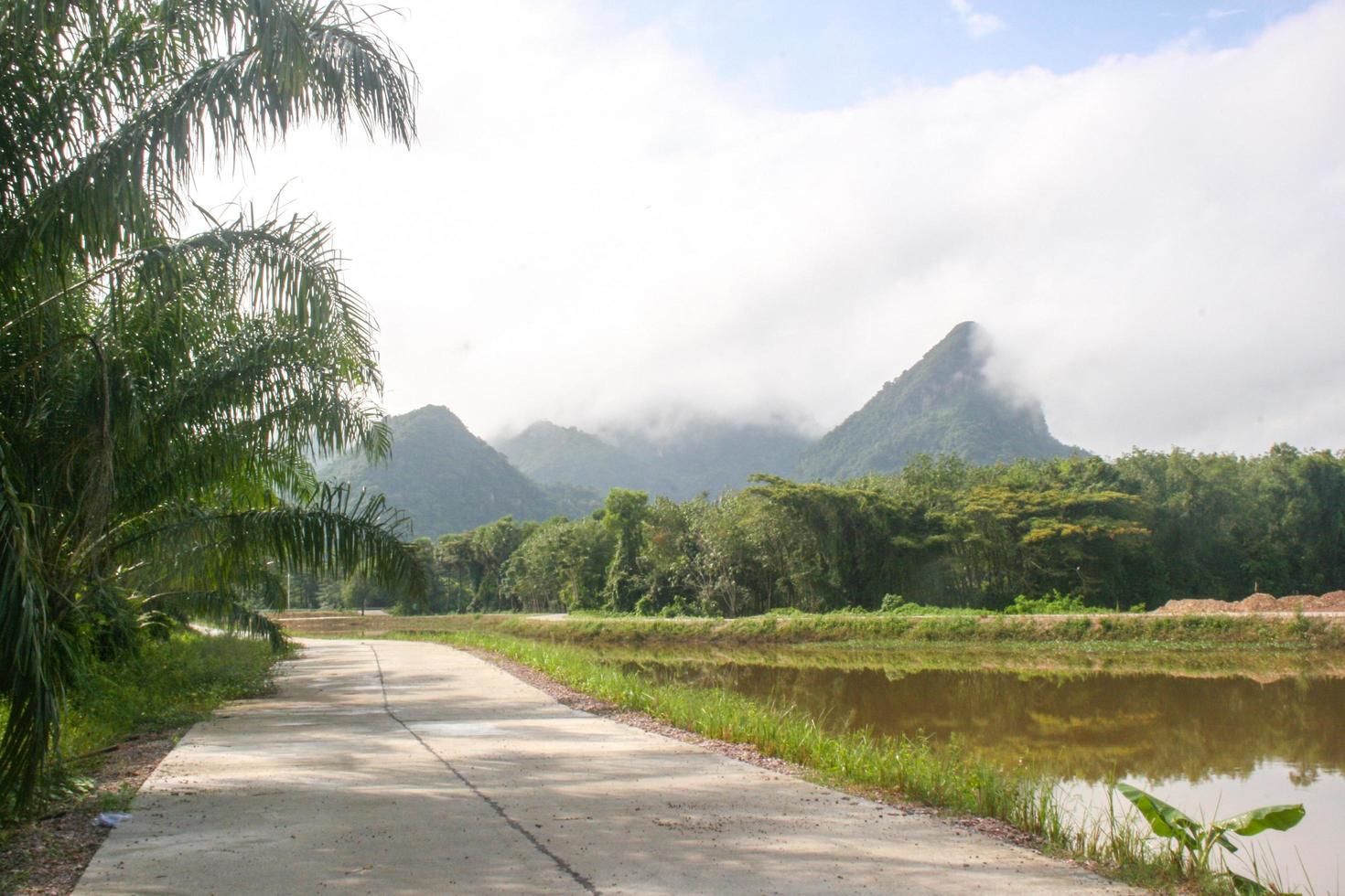 landschap en ochtend- mist in zuidelijk Thailand foto