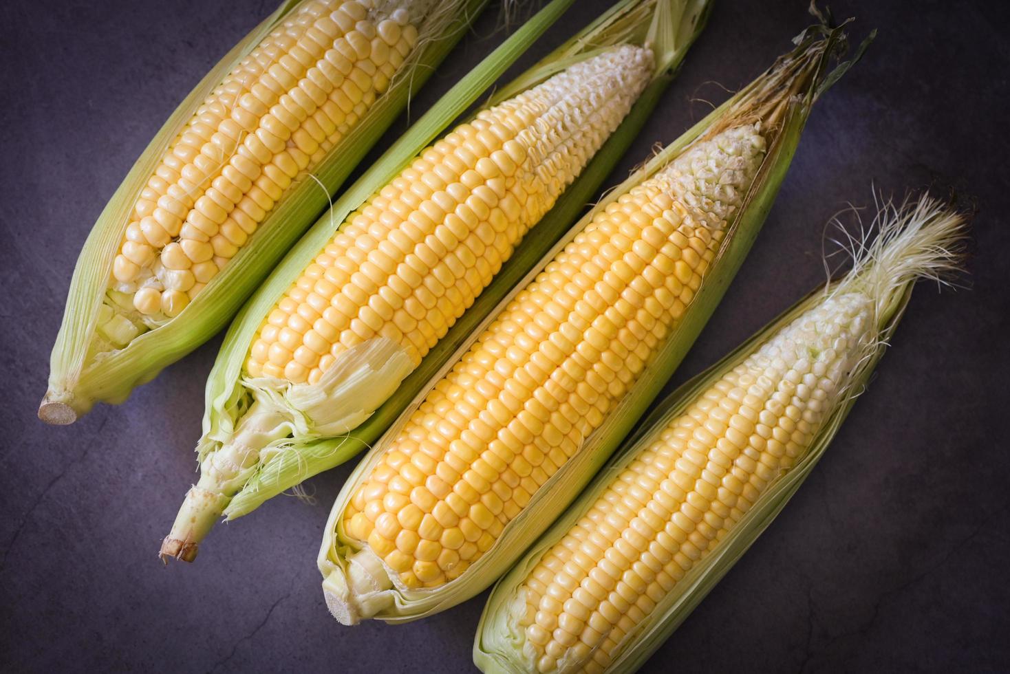 maïs Aan de maïskolf, zoet maïs voor Koken voedsel, vers maïs Aan donker achtergrond, oogst rijp maïs biologisch foto