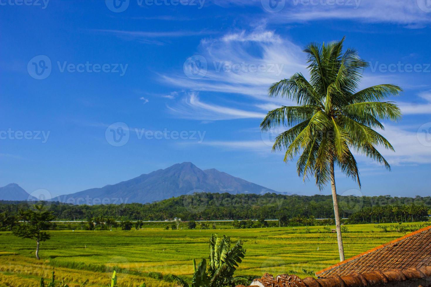 de schoonheid van rijst- velden, met bergen, salatigo tolwegen, kokosnoot bomen met blauw lucht in foto's van de dak. foto