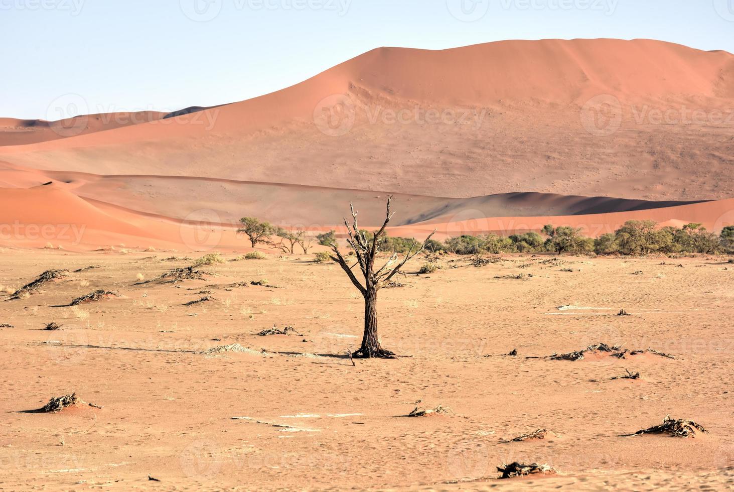 verborgen vlei, Namibië foto