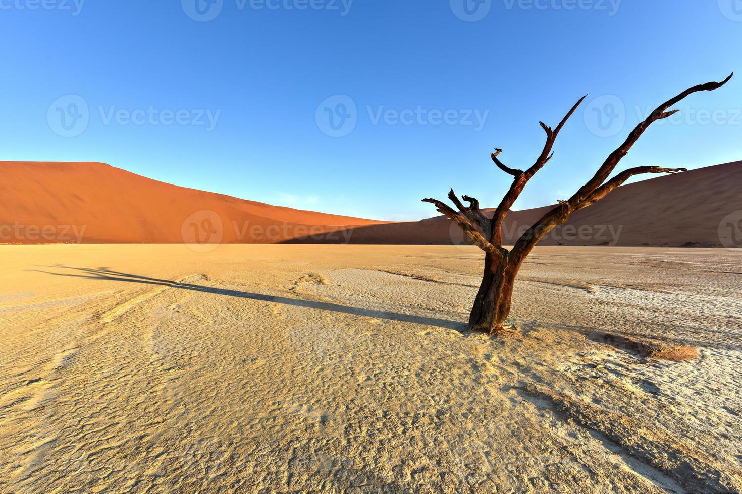 dood vlei, Namibië foto