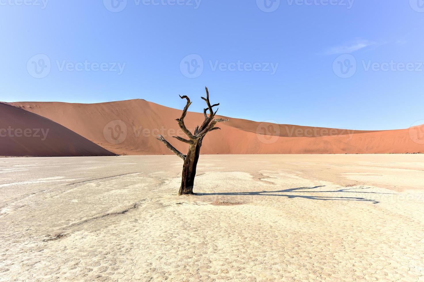 dood vlei, Namibië foto