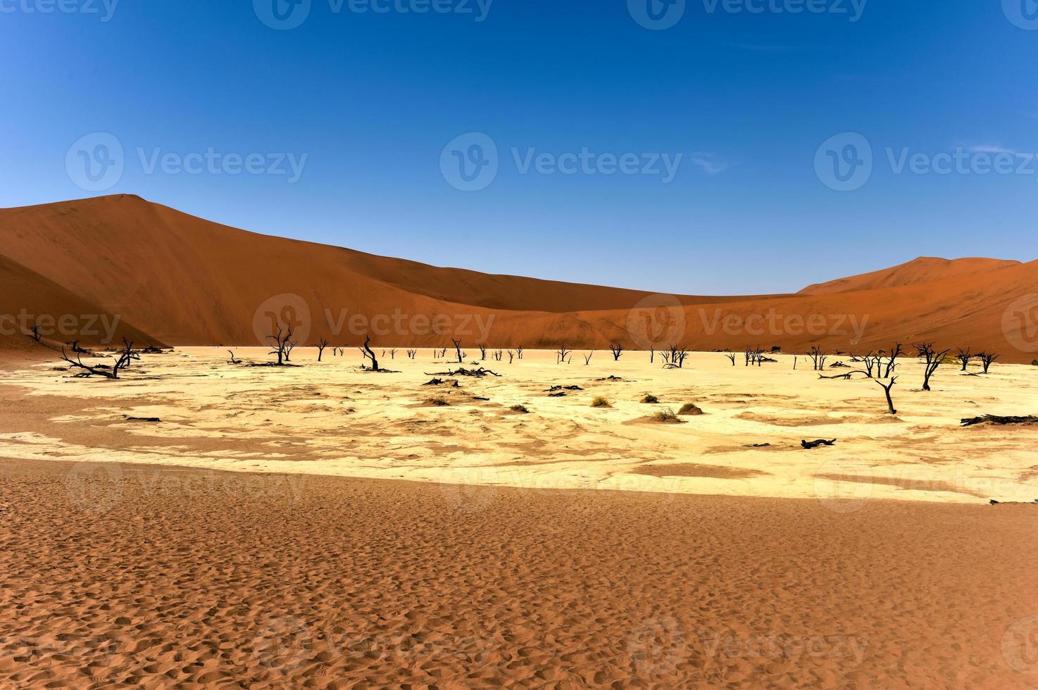 dood vlei, Namibië foto