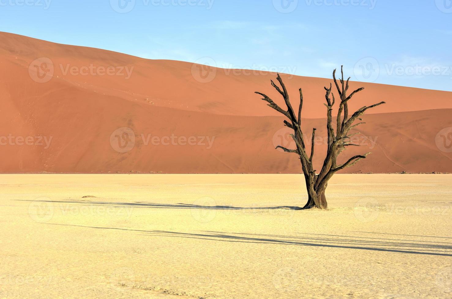 dood vlei, Namibië foto