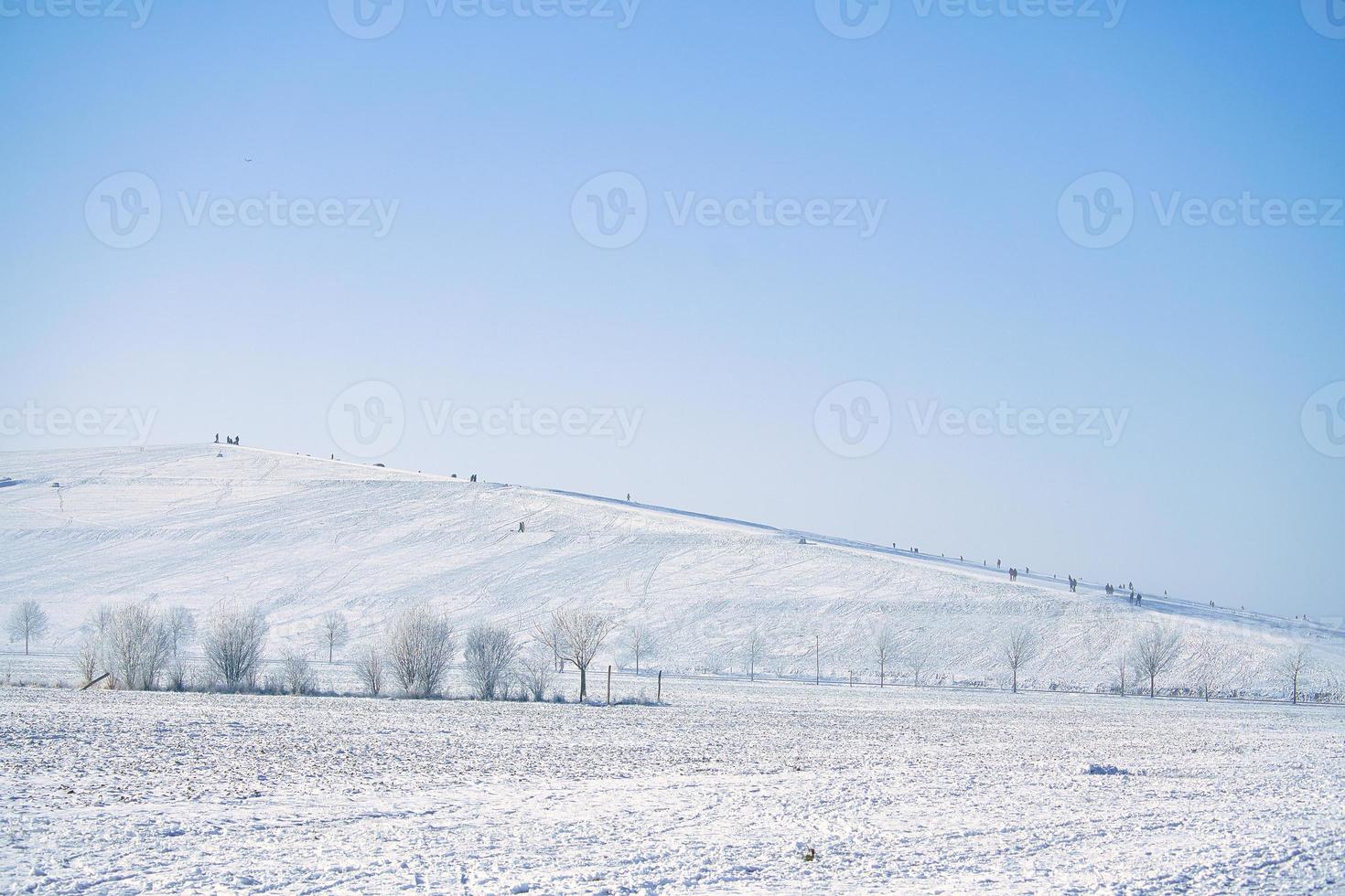 winter landschap met bomen Aan de rand van een veld- gedekt met sneeuw. winter landschap foto