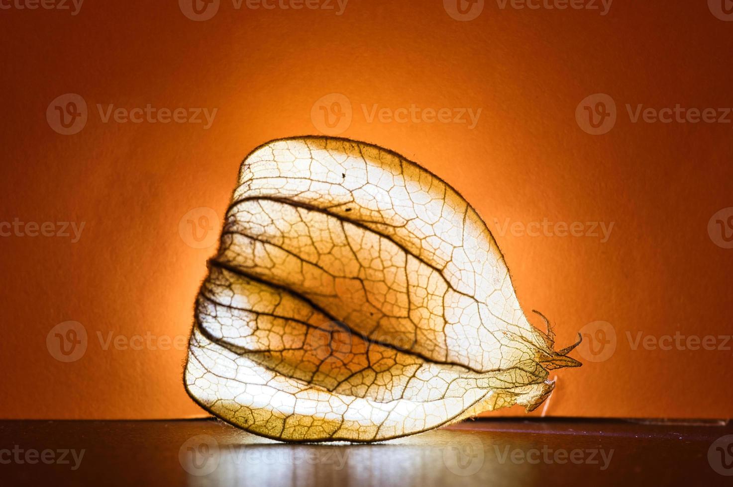 lichaamsbouw, lit Aan zwart achtergrond, met oranje achtergrond. vitamine c rijk fruit foto