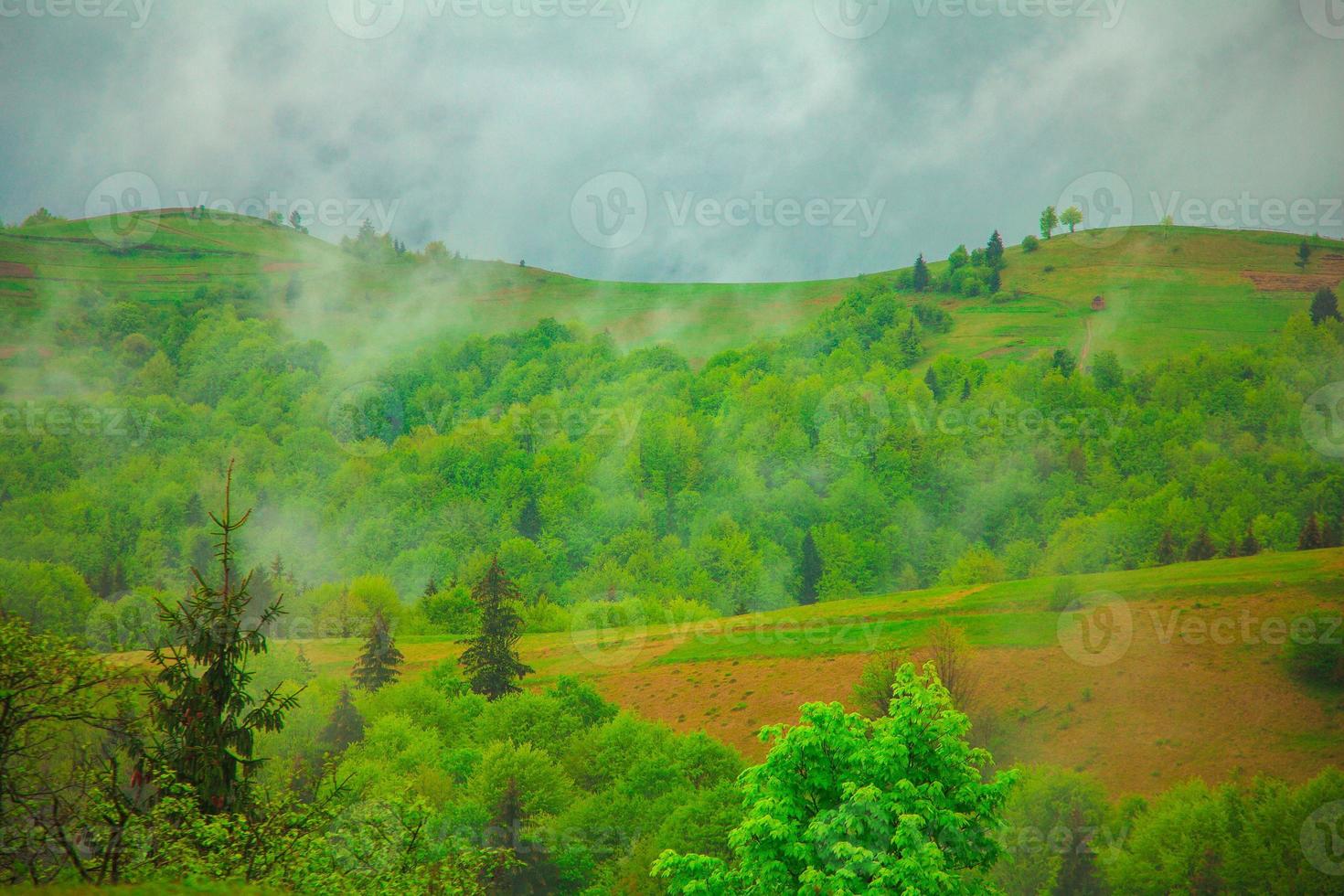 bewolkt groen berg landschap foto