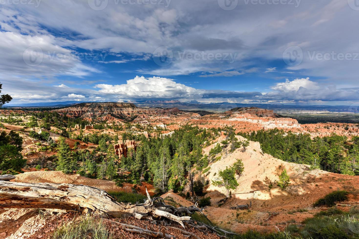 de amfitheater in Bryce Ravijn nationaal park in Utah, Verenigde staten. foto