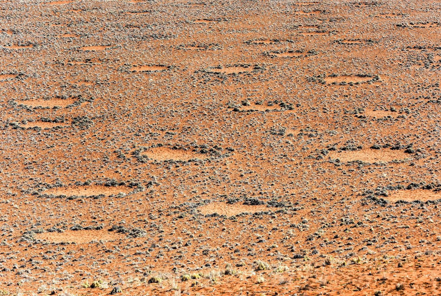 fee cirkels - Namibië foto