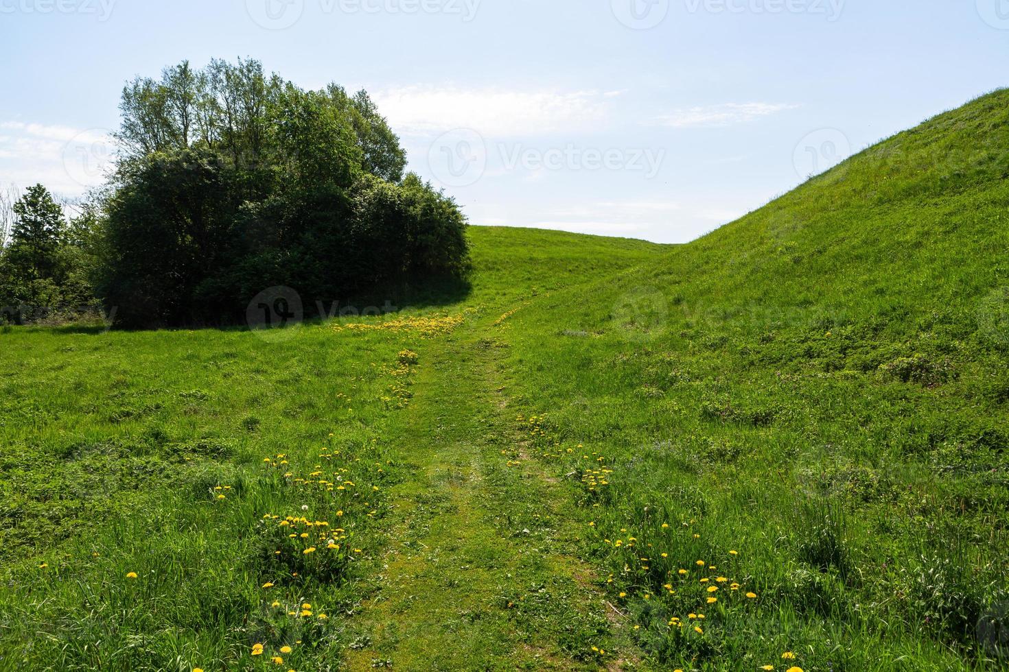 zomer landschappen in de Lets platteland foto