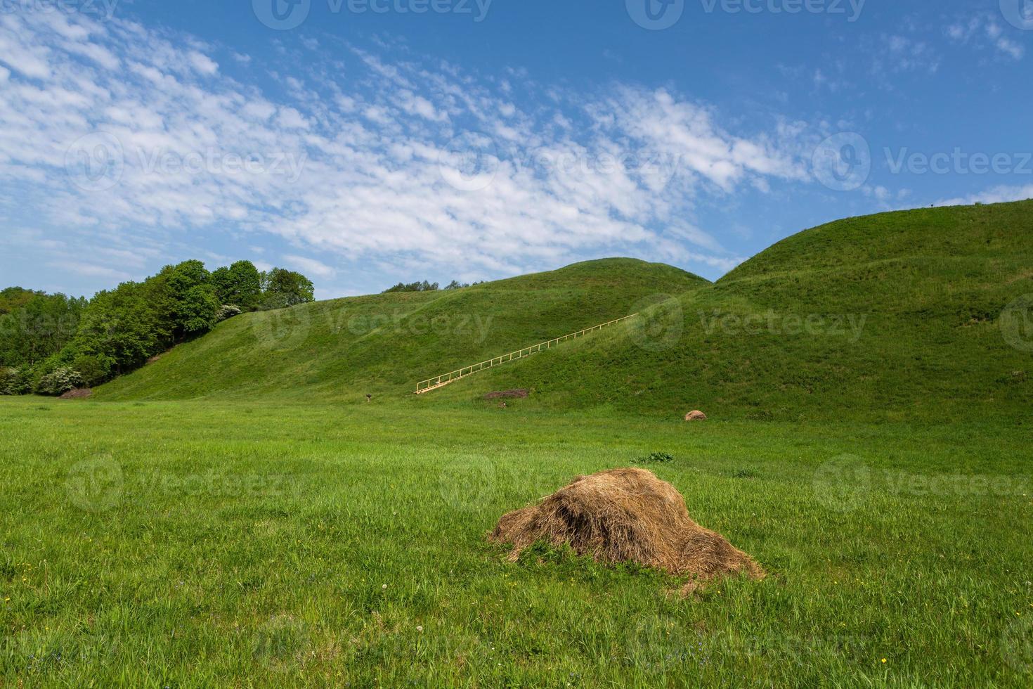 zomer landschappen in de Lets platteland foto