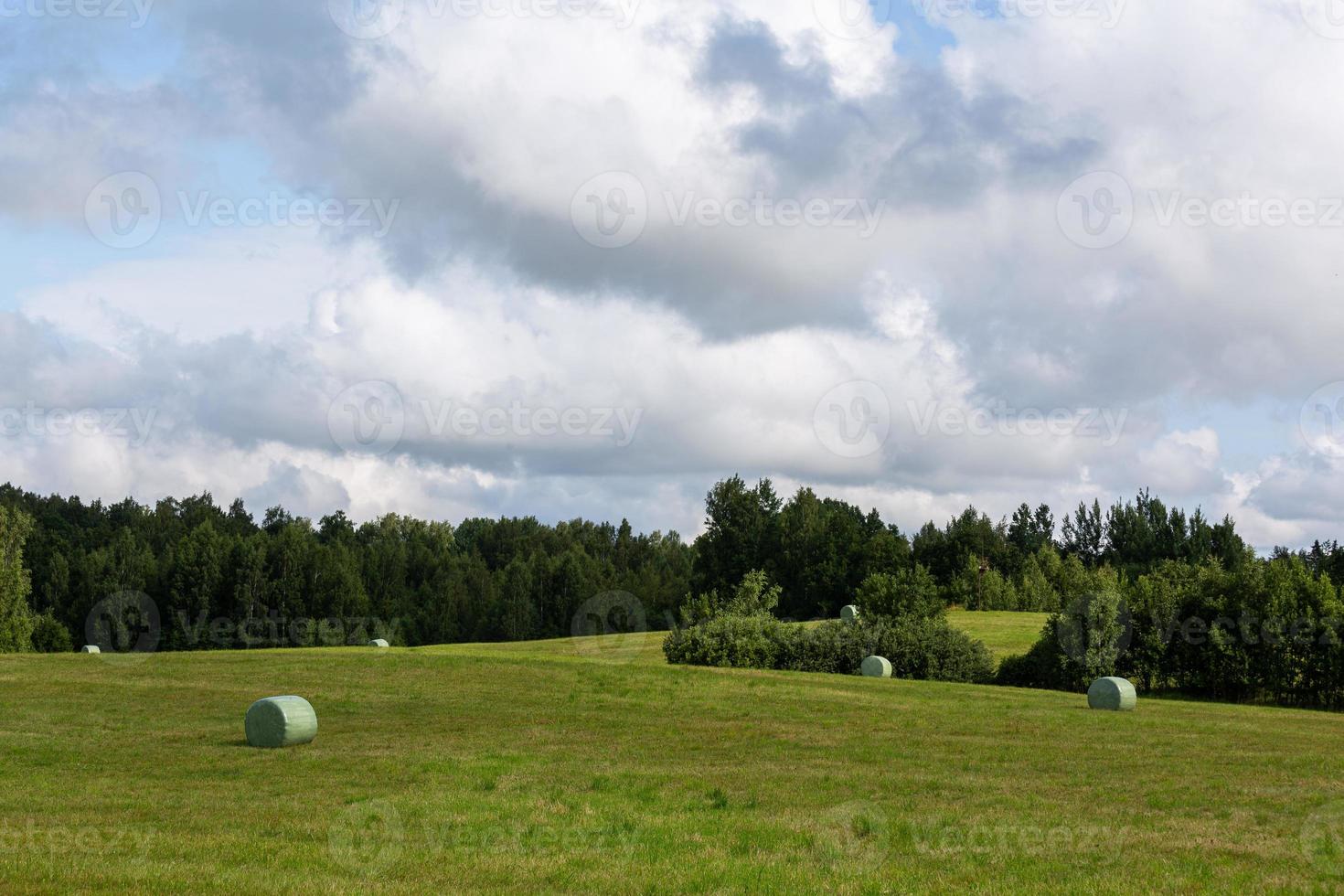 zomer landschappen in Letland foto